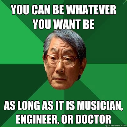 you can be whatever you want be  as long as it is musician, engineer, or doctor    High Expectations Asian Father