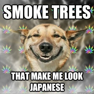 Smoke trees That make me look Japanese - Smoke trees That make me look Japanese  Stoner Dog