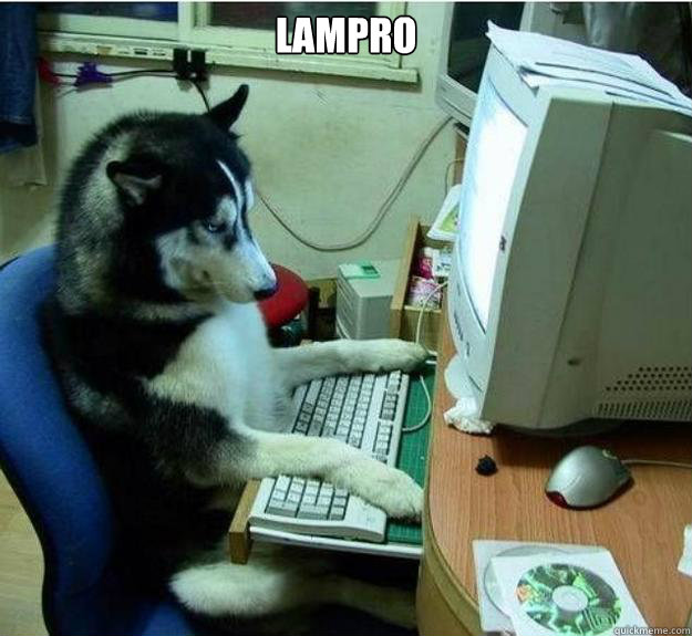 Lampro  - Lampro   Disapproving Dog