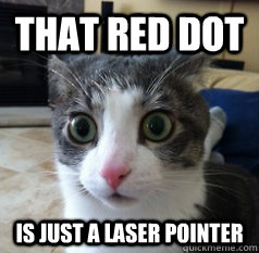 That red dot  Is just a laser pointer  Sudden Clarity Cat