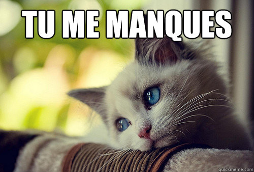 tu me manques   First World Problems Cat