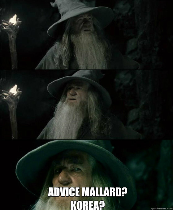  Advice Mallard? Korea? -  Advice Mallard? Korea?  No memory Gandalf