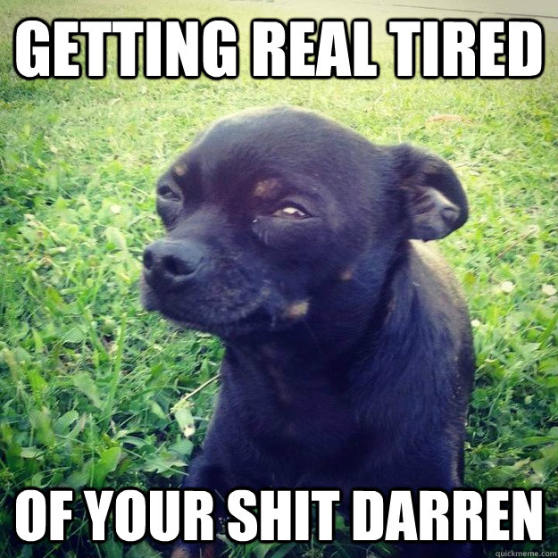 getting real tired of your shit darren  Skeptical Dog