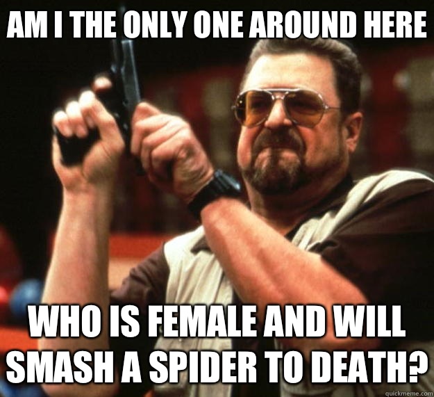 Am I the only one around here who is female and will smash a spider to death?  Big Lebowski