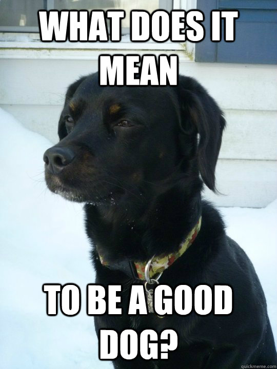 What does it mean to be a good dog?  Philosophical Puppy