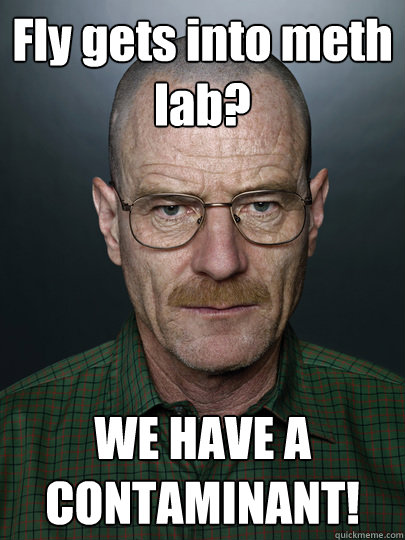 Fly gets into meth lab? WE HAVE A CONTAMINANT!  - Fly gets into meth lab? WE HAVE A CONTAMINANT!   Advice Walter White