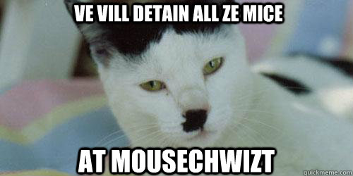 Ve vill detain all ze mice at Mousechwizt  Hitler cat