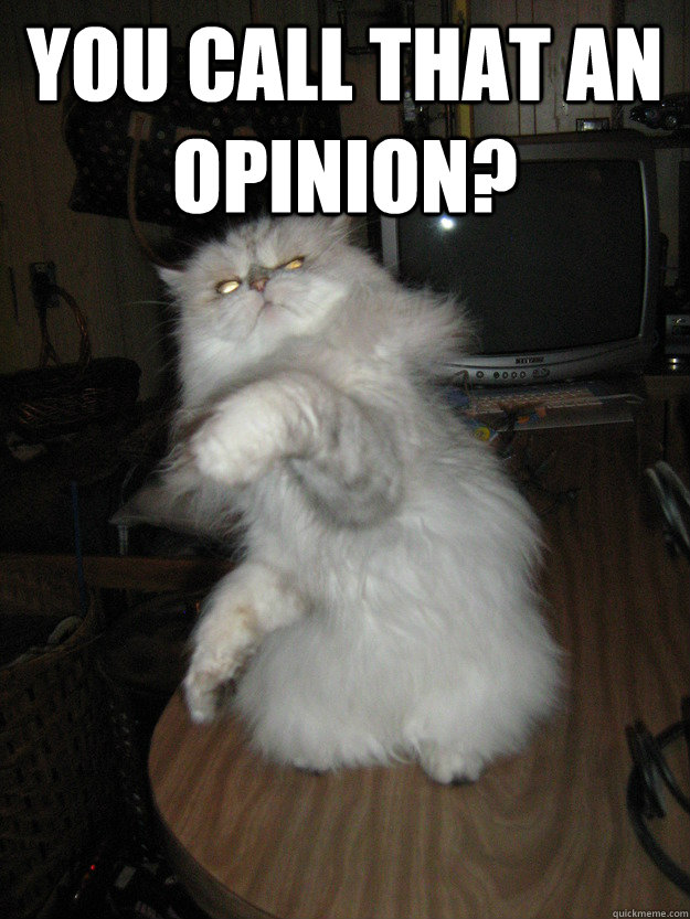 You call that an opinion?  - You call that an opinion?   Disgusted Cat