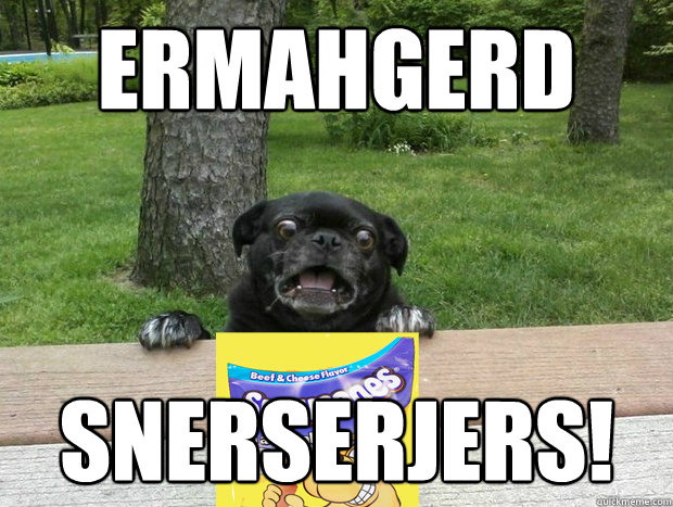 ermahgerd snerserjers!  Berks Dog