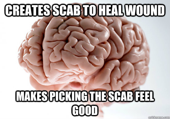 Creates scab to heal wound Makes picking the scab feel good  Scumbag Brain I almost puked