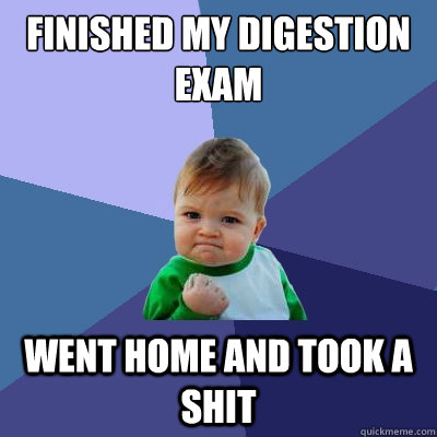 Finished my digestion exam went home and took a shit - Finished my digestion exam went home and took a shit  Success Kid