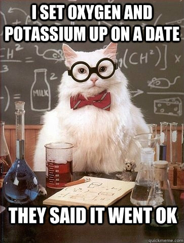 I SET OXYGEN AND POTASSIUM UP ON A DATE THEY SAID IT WENT OK  Chemistry Cat