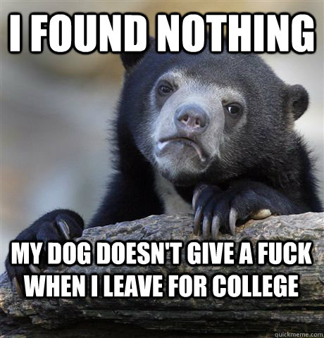 I found nothing My Dog doesn't give a fuck when I leave for college  Confession Bear