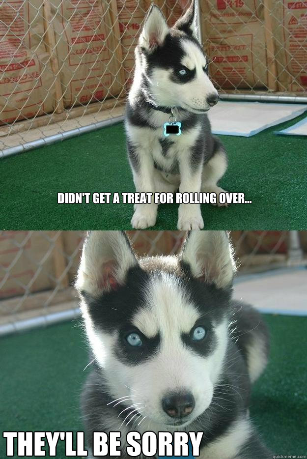 Didn't get a treat for rolling over... THEY'LL BE SORRY
  Insanity puppy
