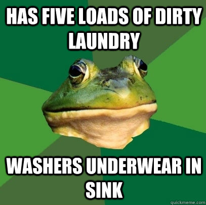 Has five loads of dirty laundry washers underwear in sink  Foul Bachelor Frog
