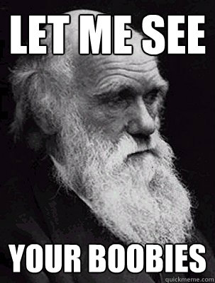 Let me see  your boobies - Let me see  your boobies  Misc