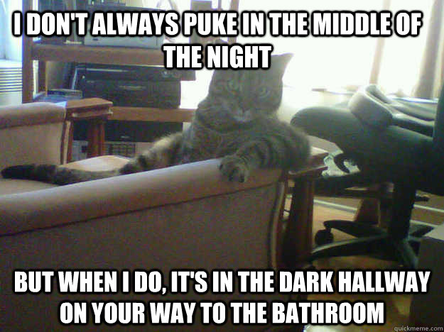 I don't always puke in the middle of the night But when I do, it's in the dark hallway on your way to the bathroom  