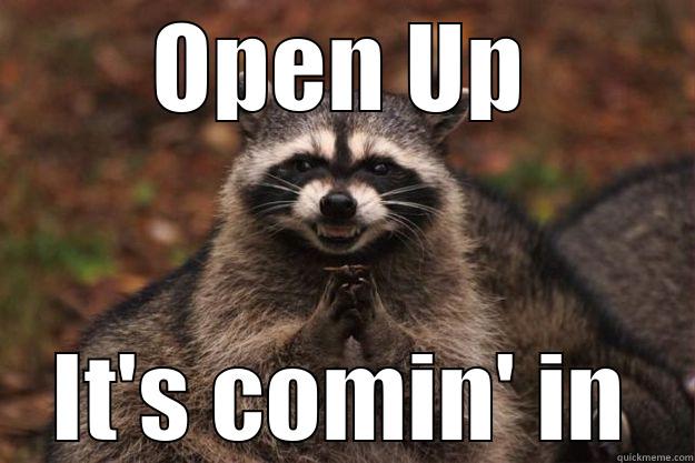 OPEN UP IT'S COMIN' IN Evil Plotting Raccoon