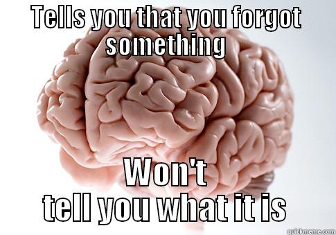 TELLS YOU THAT YOU FORGOT SOMETHING WON'T TELL YOU WHAT IT IS Scumbag Brain