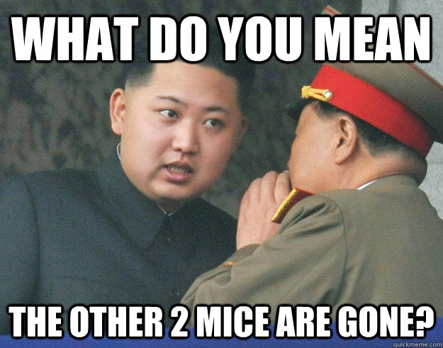 What do you mean  the other 2 mice are gone?  Hungry Kim Jong Un