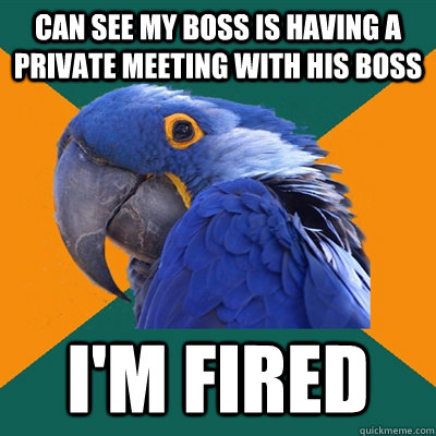 Can see my boss is having a private meeting with his boss I'm fired  Paranoid Parrot