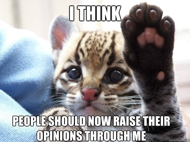 I think people should now raise their opinions through me - I think people should now raise their opinions through me  Opinion Ocelot