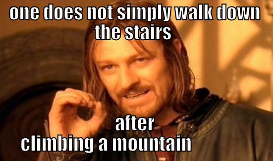 ONE DOES NOT SIMPLY WALK DOWN THE STAIRS  AFTER CLIMBING A MOUNTAIN                 Boromir