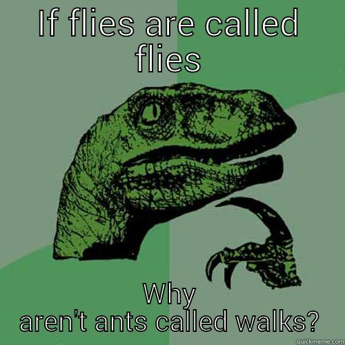 IF FLIES ARE CALLED FLIES WHY AREN'T ANTS CALLED WALKS? Philosoraptor