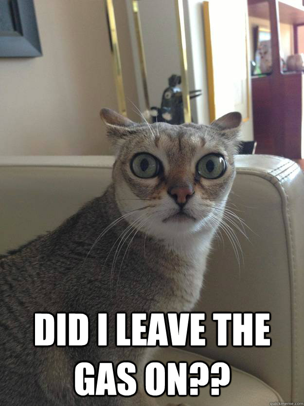  Did I leave the gas on??  Alarmed cat