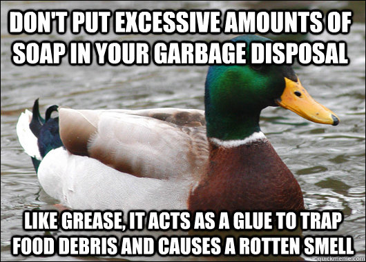 don't put excessive amounts of soap in your garbage disposal like grease, it acts as a glue to trap food debris and causes a rotten smell  Actual Advice Mallard