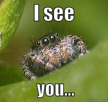          I SEE                      YOU...          Misunderstood Spider
