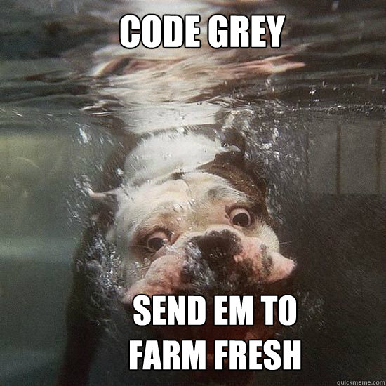 Code grey send em to faRM FRESH - Code grey send em to faRM FRESH  Water dog wants bacon