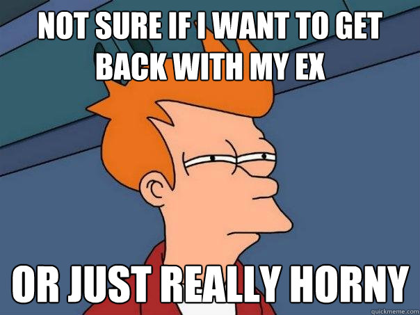 Not sure if i want to get back with my ex  or just really horny - Not sure if i want to get back with my ex  or just really horny  Futurama Fry