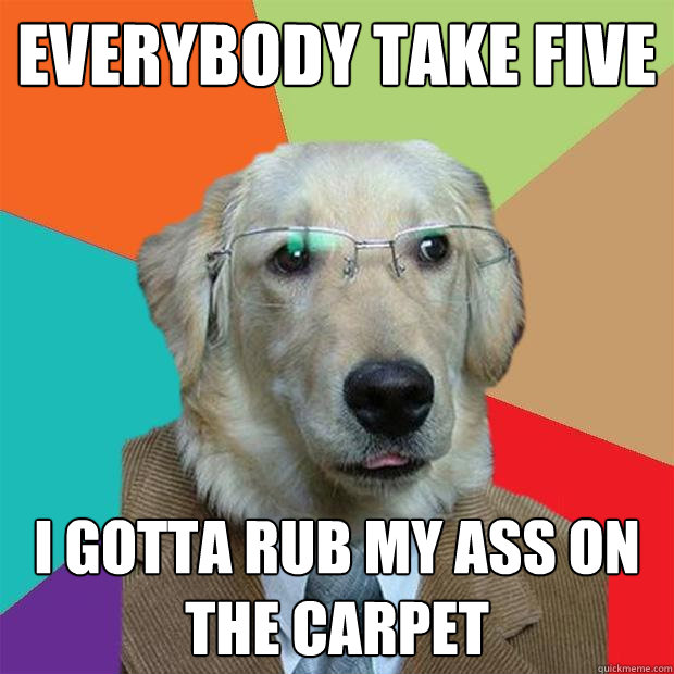 Everybody take five I gotta rub my ass on the carpet  Business Dog