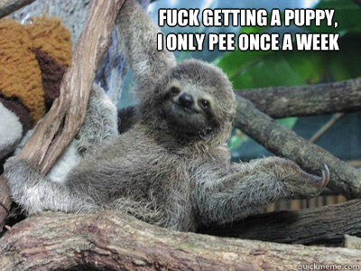Fuck getting a puppy,
I only pee once a week  