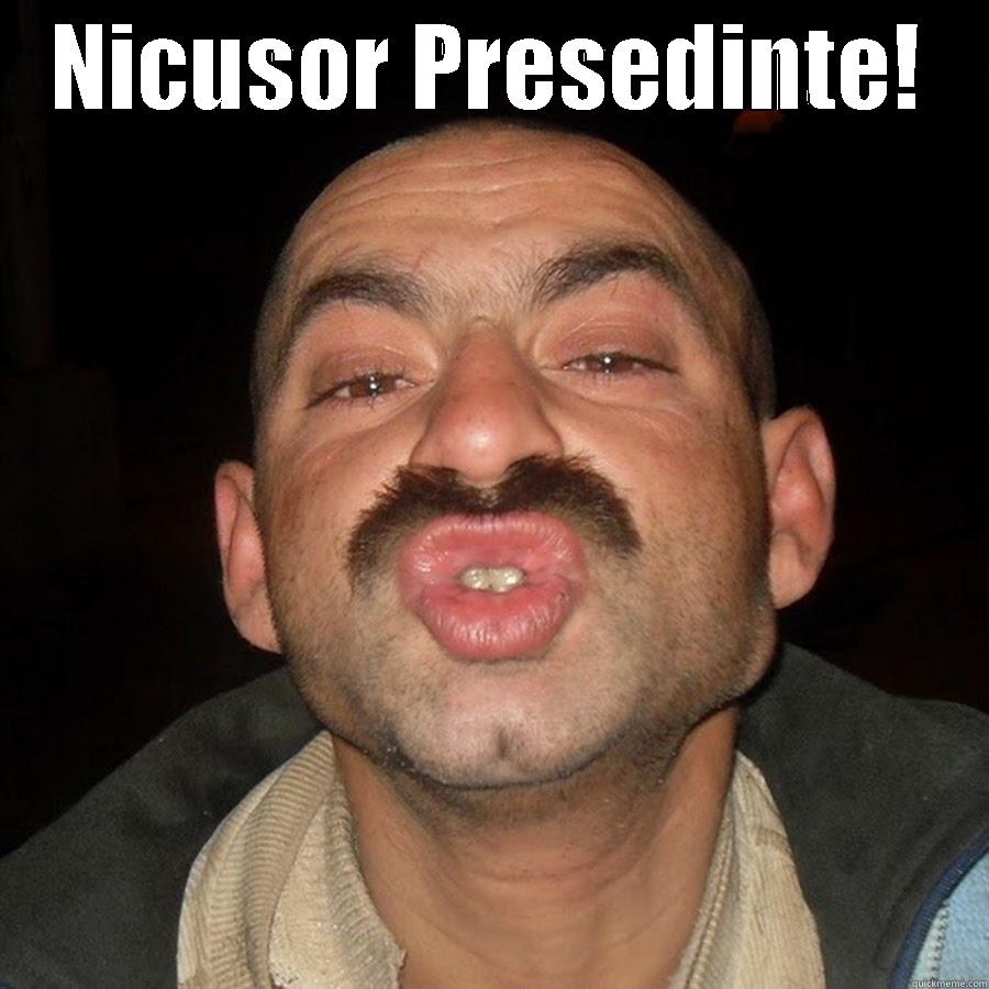 NICUSOR PRESEDINTE!  Misc