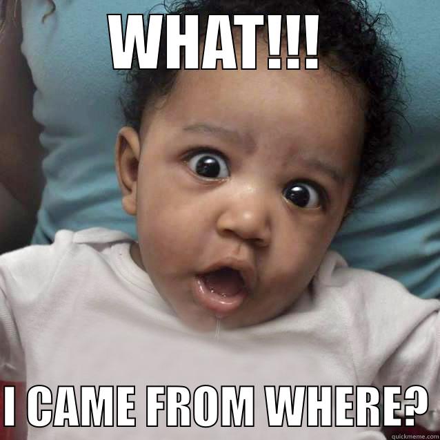 WHAT!!!  I CAME FROM WHERE? Misc
