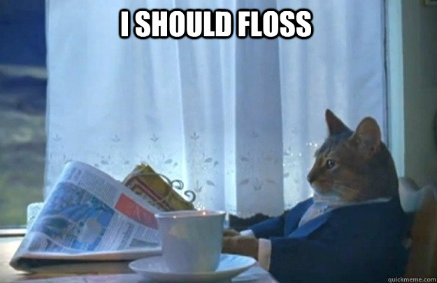 I should floss  Sophisticated Cat