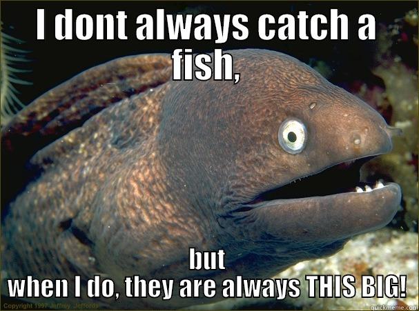 I DONT ALWAYS CATCH A FISH, BUT WHEN I DO, THEY ARE ALWAYS THIS BIG! Bad Joke Eel