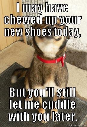 I MAY HAVE CHEWED UP YOUR NEW SHOES TODAY, BUT YOU'LL STILL LET ME CUDDLE WITH YOU LATER. Good Dog Greg