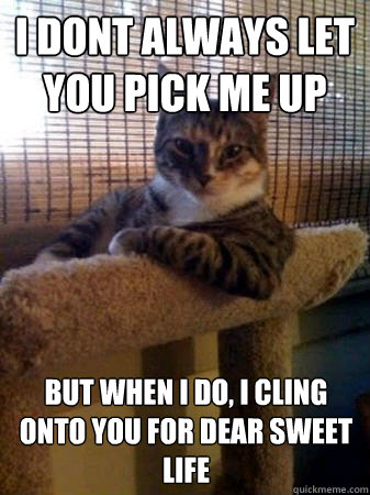 I dont always let you pick me up but when I do, I cling onto you for dear sweet life  The Most Interesting Cat in the World