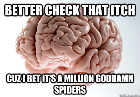 Better check that itch Cuz I bet it's a million goddamn spiders  Scumbag Brain