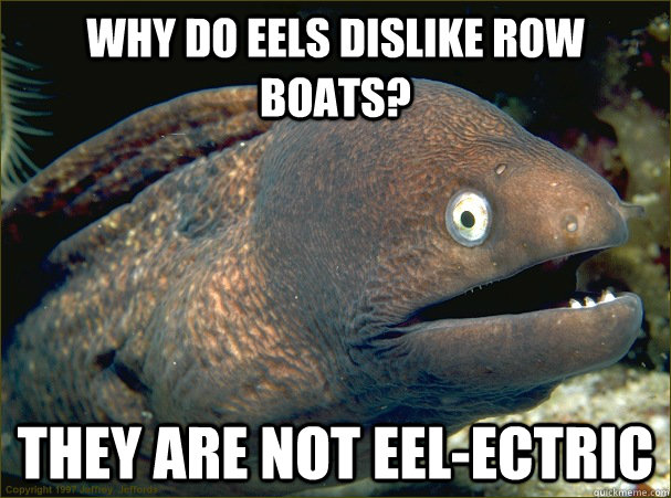 Why do eels dislike row boats? They are not eel-ectric  Bad Joke Eel