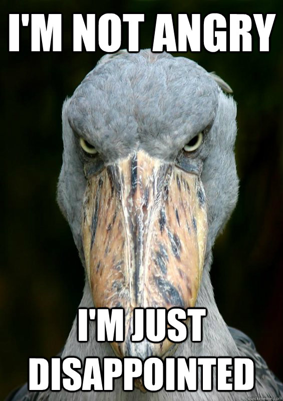 I'm Not Angry I'm Just Disappointed - I'm Not Angry I'm Just Disappointed  Disappointed Shoebill