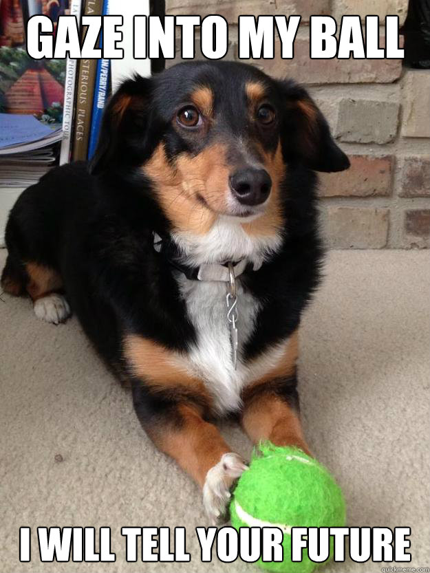 gaze into my ball I will tell your future - gaze into my ball I will tell your future  Dog with Ball