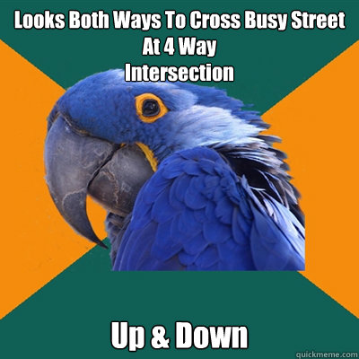 Looks Both Ways To Cross Busy Street At 4 Way
Intersection Up & Down  Paranoid Parrot