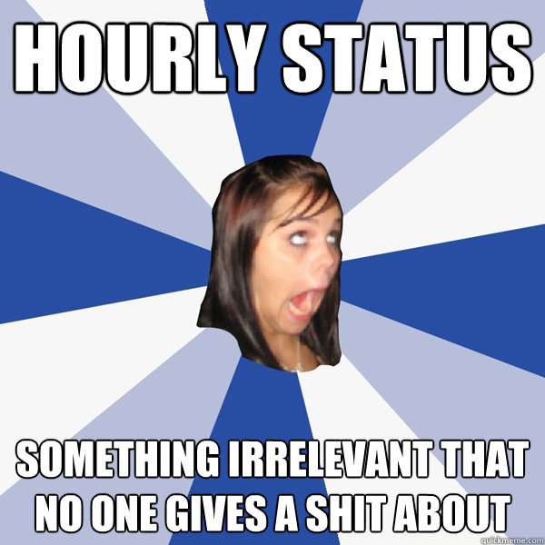 hourly status something irrelevant that no one gives a shit about   Annoying Facebook Girl