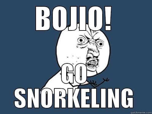 BOJIO! GO SNORKELING Y U No