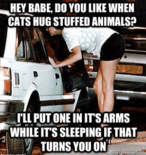 Hey babe, do you like when cats hug stuffed animals? I'll put one in it's arms while it's sleeping if that turns you on  Karma Whore