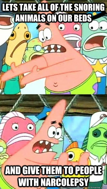 Lets take all of the snoring animals on our beds And give them to people with narcolepsy  Push it somewhere else Patrick